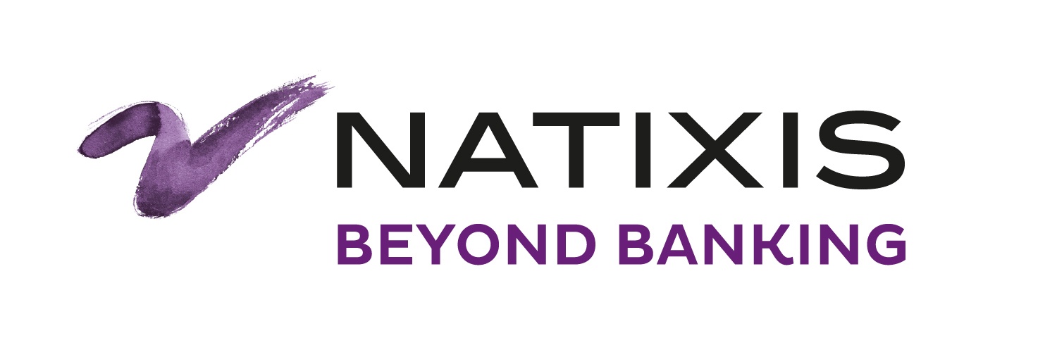 natixs Logo